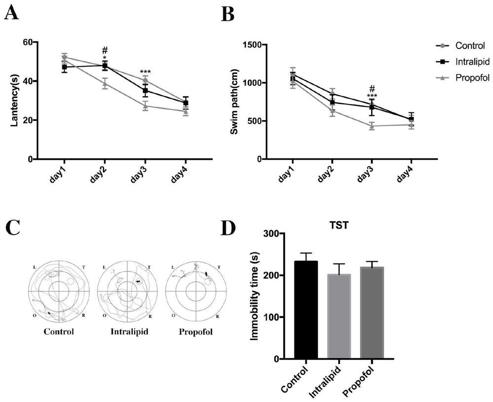 Application of propofol to improvement of cognitive function of mice by promoting formation of brain-developing dopamine neural network