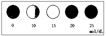 Cat litter with early warning function of pet urine protein and preparation method thereof