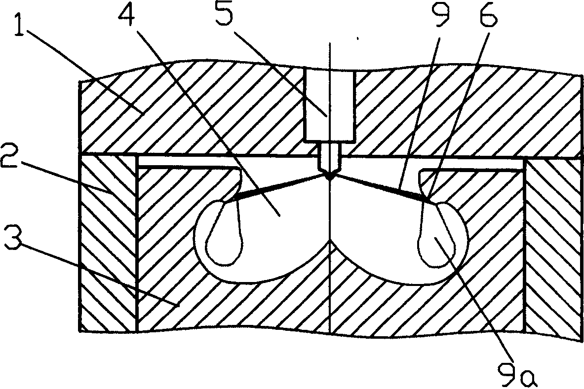 Spraying and diffusing combustion system of IC engine