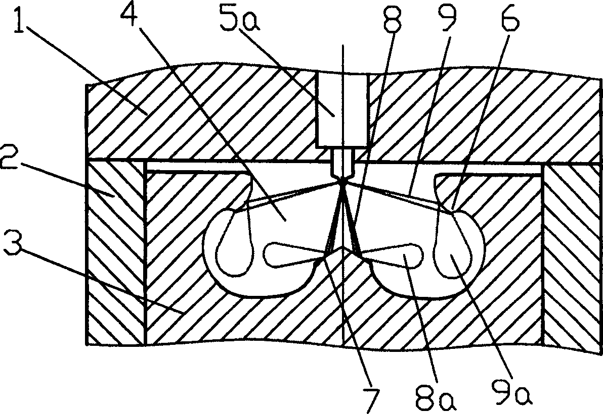 Spraying and diffusing combustion system of IC engine