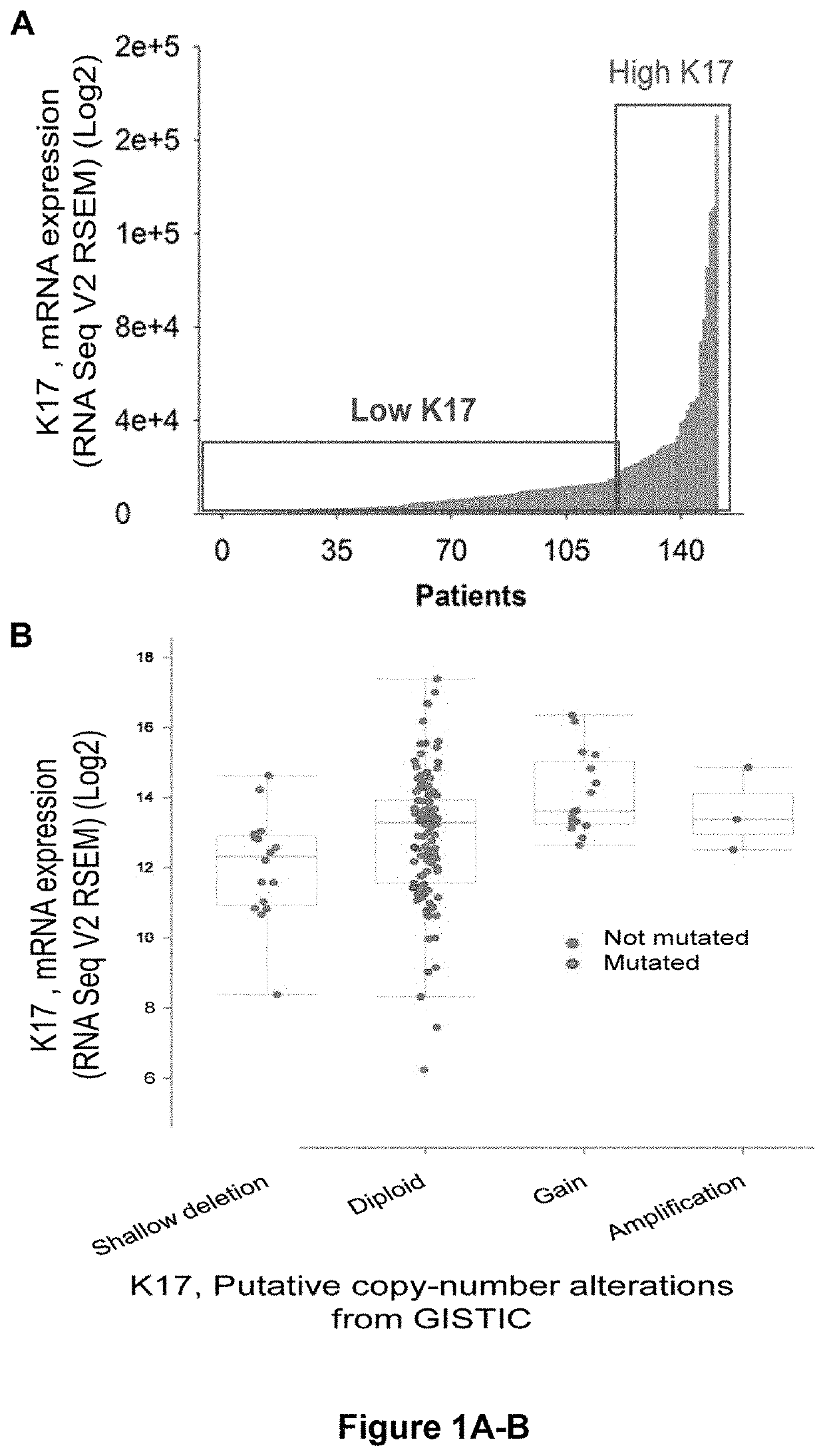Keratin 17 as a prognostic marker for pancreatic cancer
