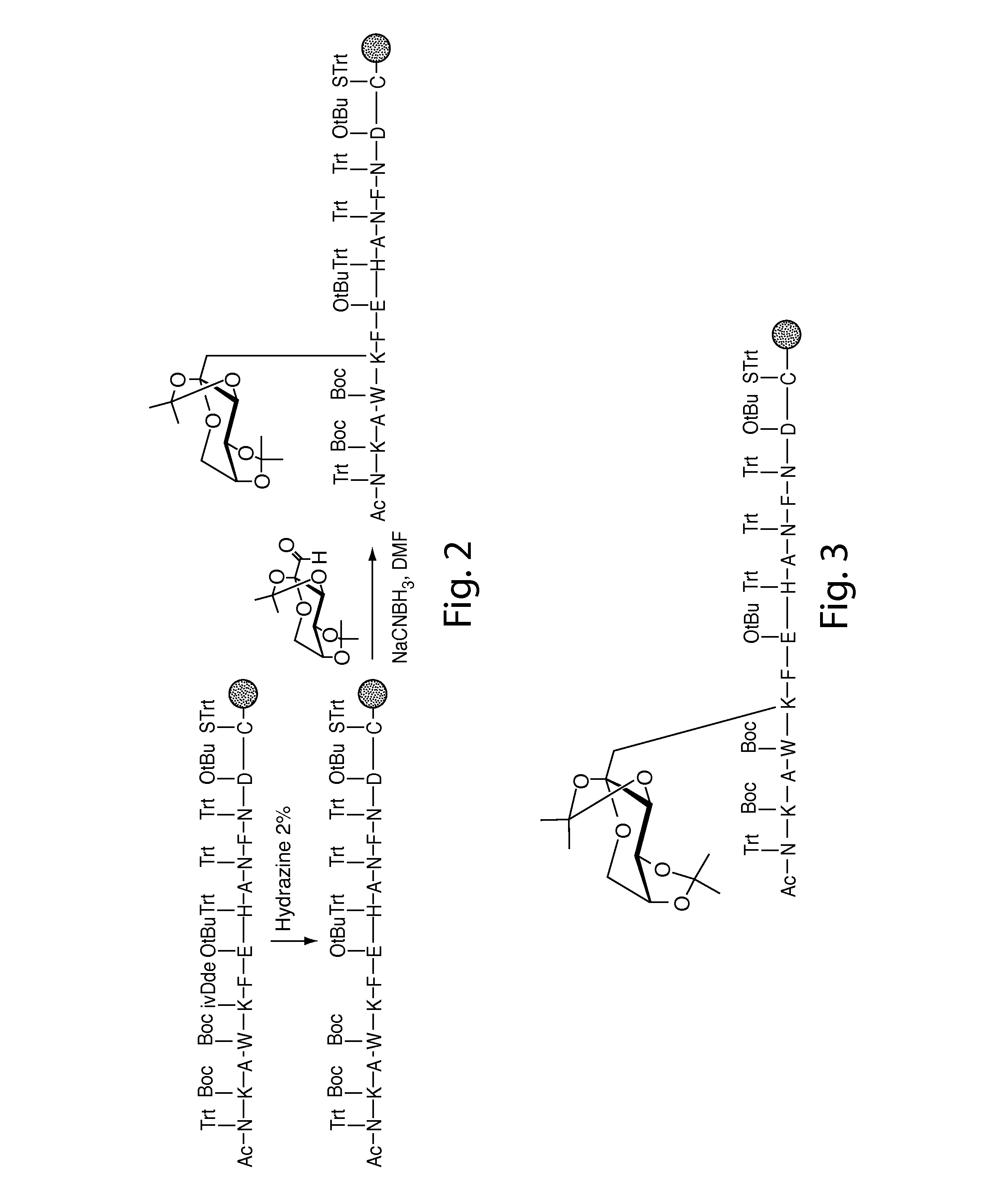 Glycated cd59 peptides, their preparation, and uses thereof