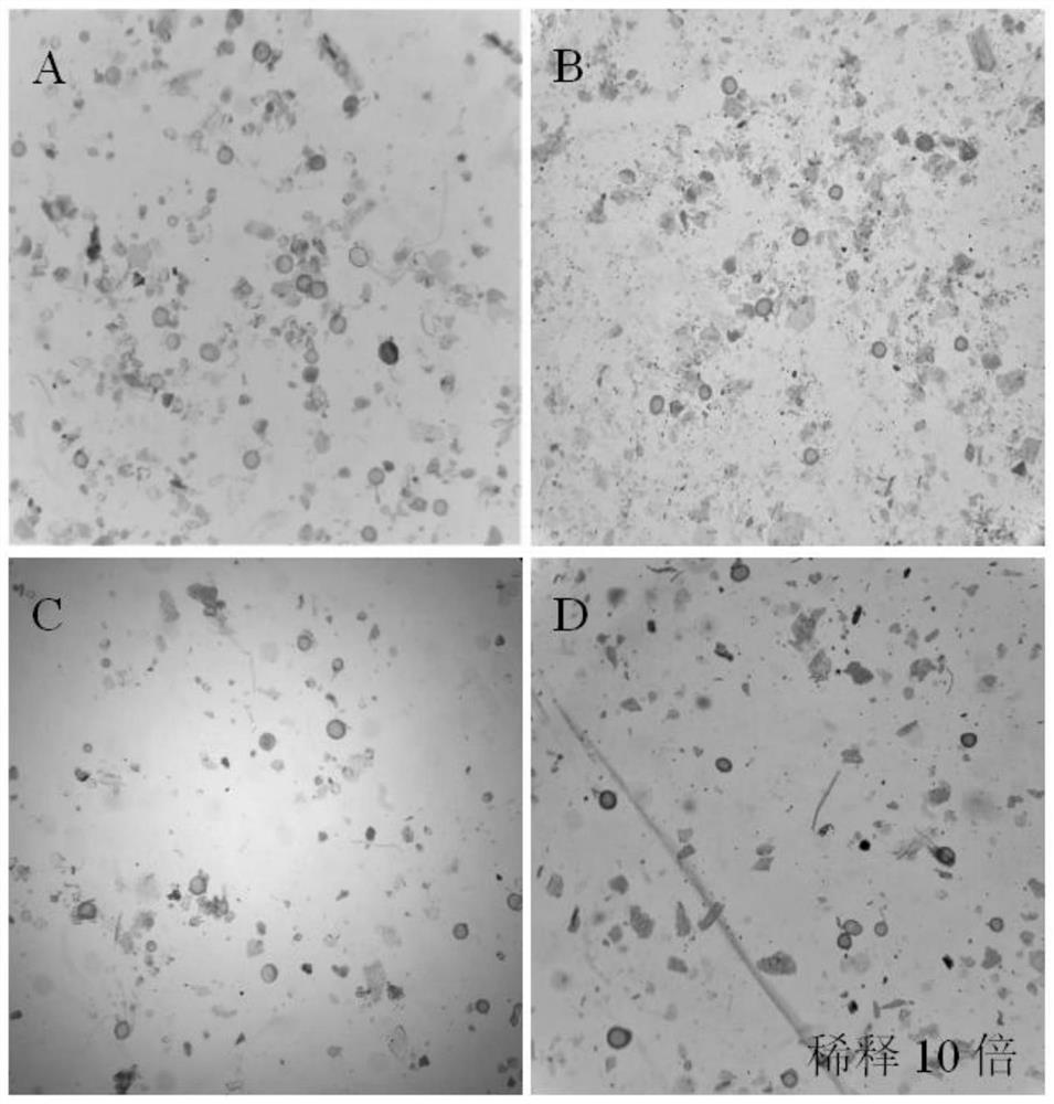 Propagation method of arbuscular mycorrhizal fungi