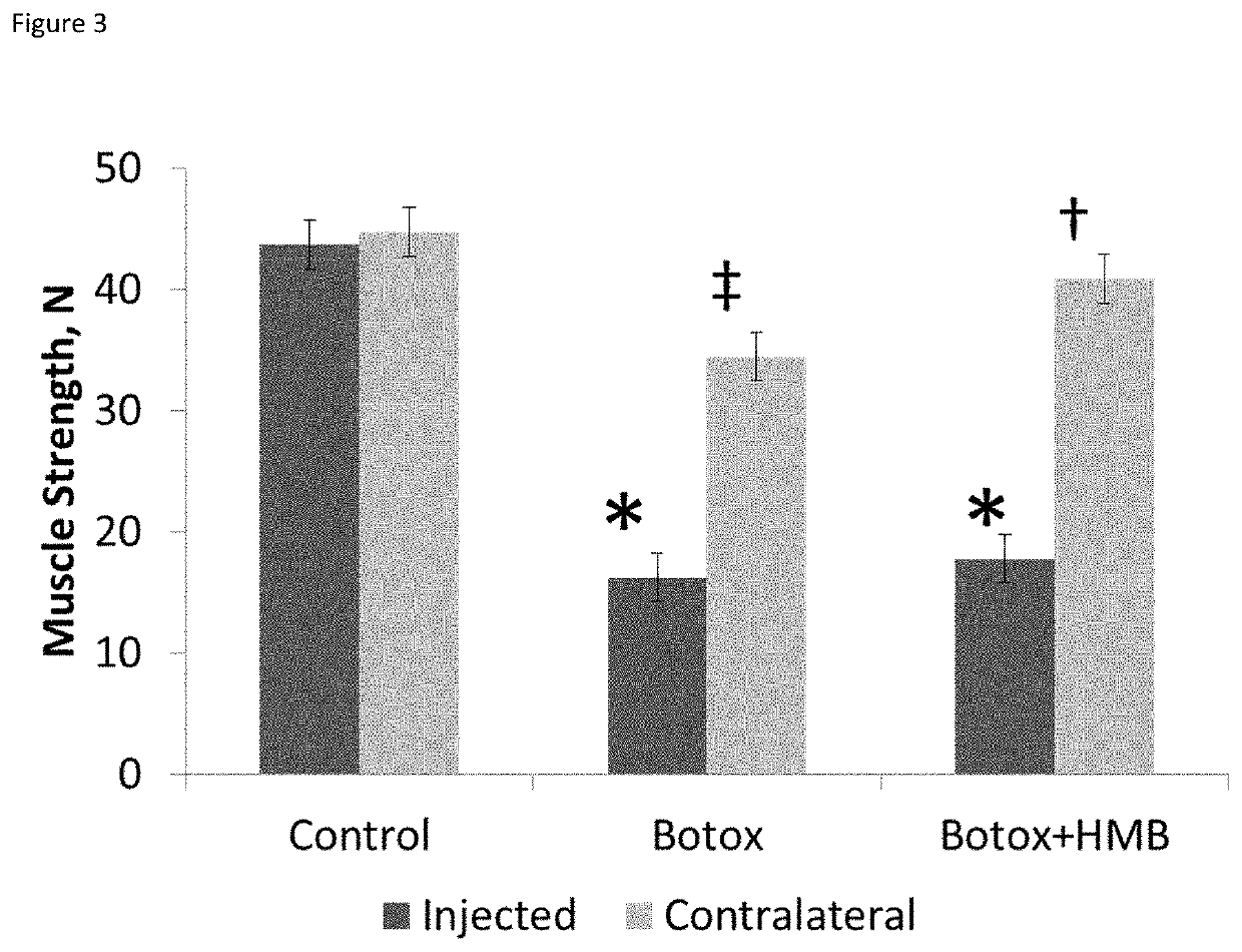 Compositions and methods of use of beta-hydroxy-beta-methylbutyrate (HMB) for enhancing recovery from soft tissue trauma