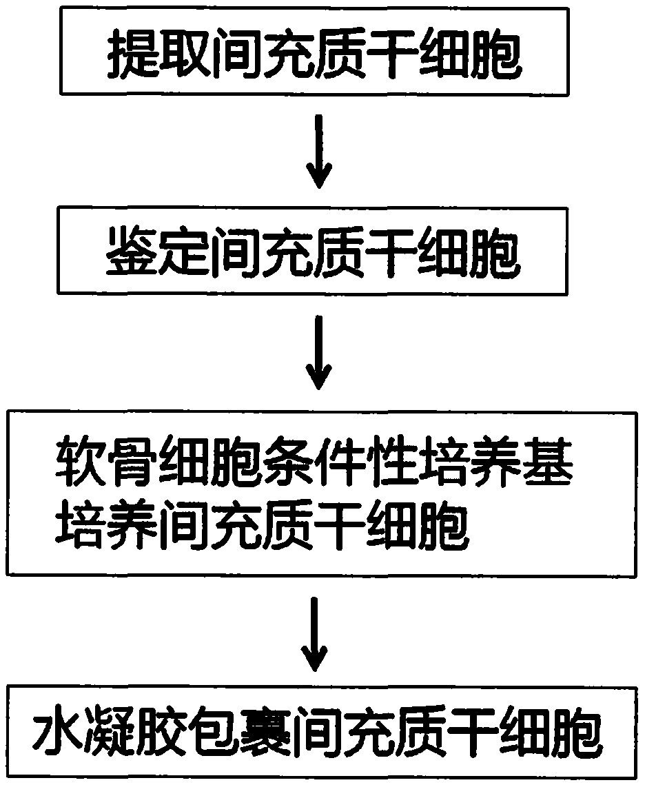 Preparation for treating degenerative disc diseases and preparation method thereof