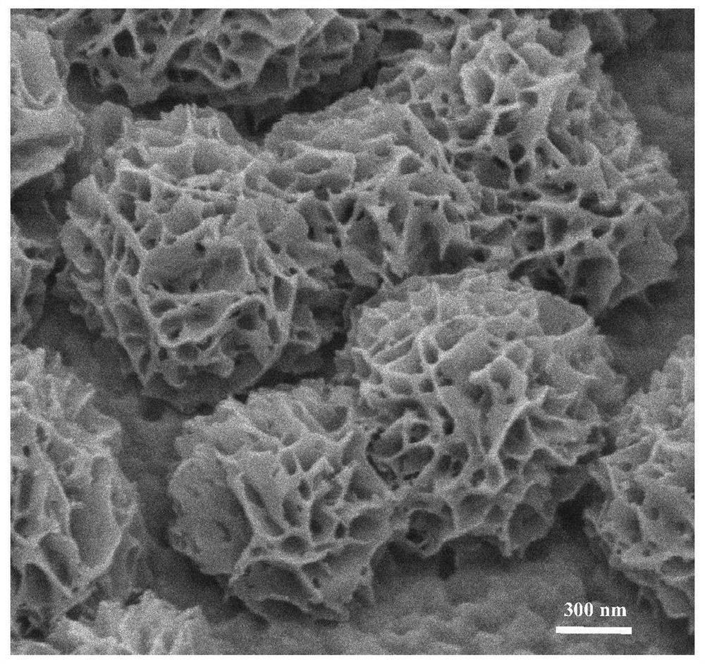 Novel Co@CoP2/CF full-electrolysis water electrocatalyst