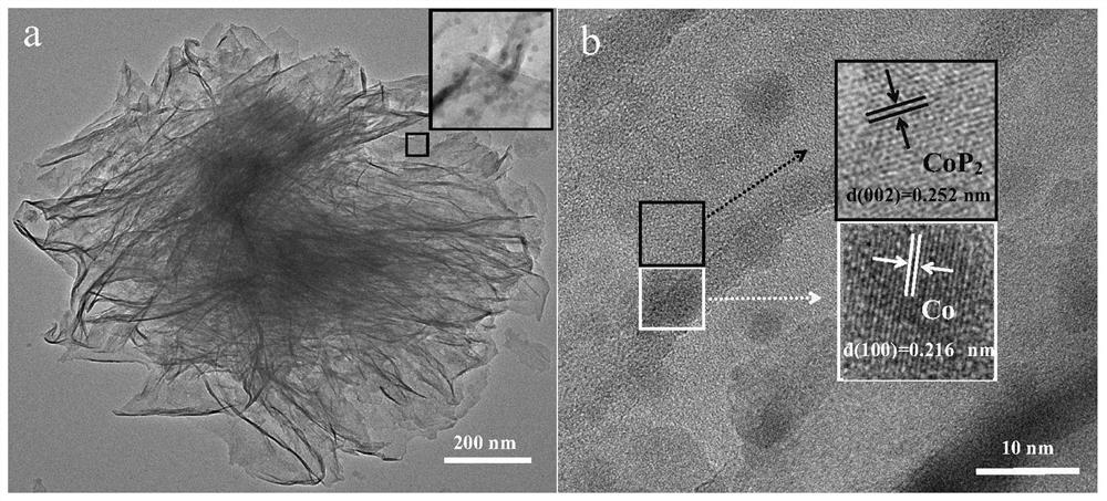 Novel Co@CoP2/CF full-electrolysis water electrocatalyst