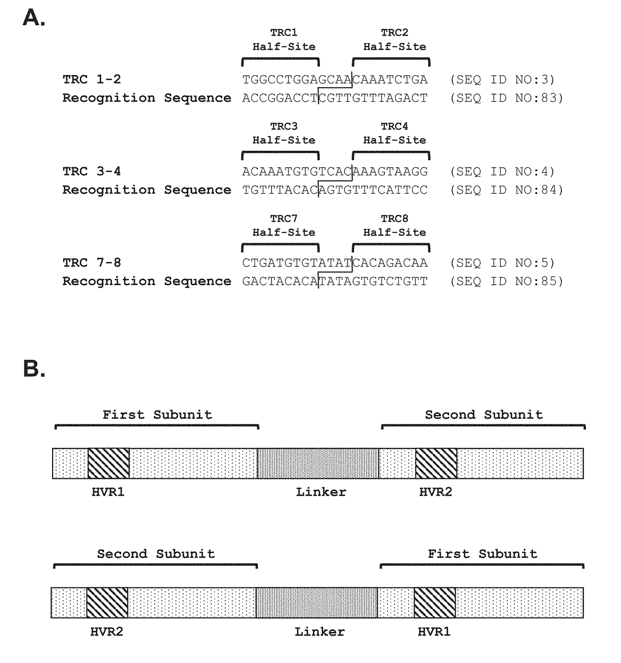 Genetically-modified cells comprising a modified human t cell receptor alpha constant region gene