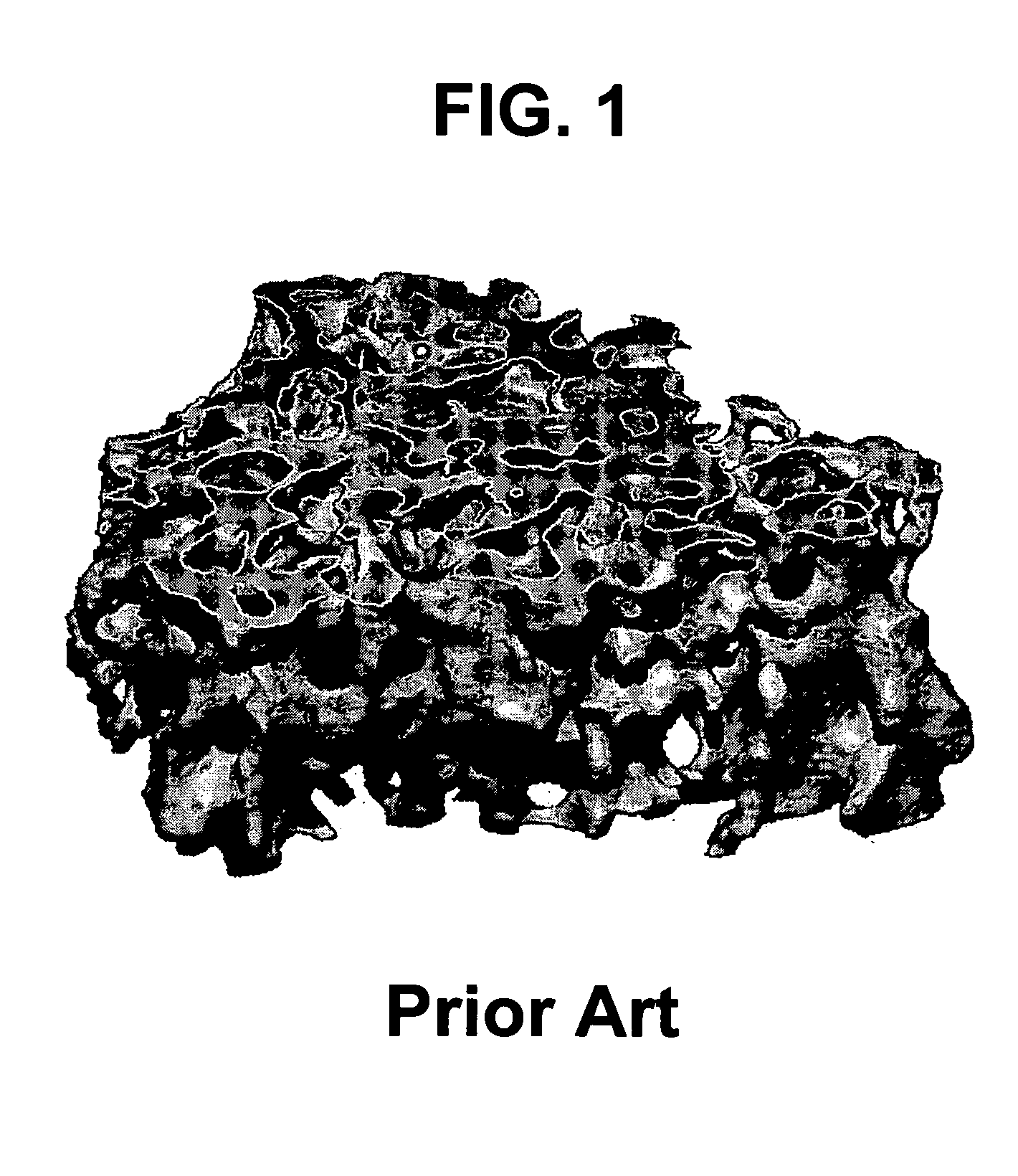 Bone and tissue scaffolding and method for producing same