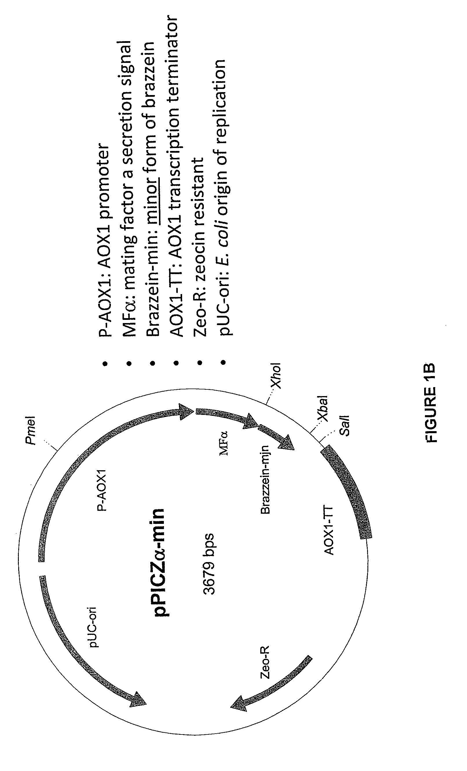 Sweetener preparations and methods of use