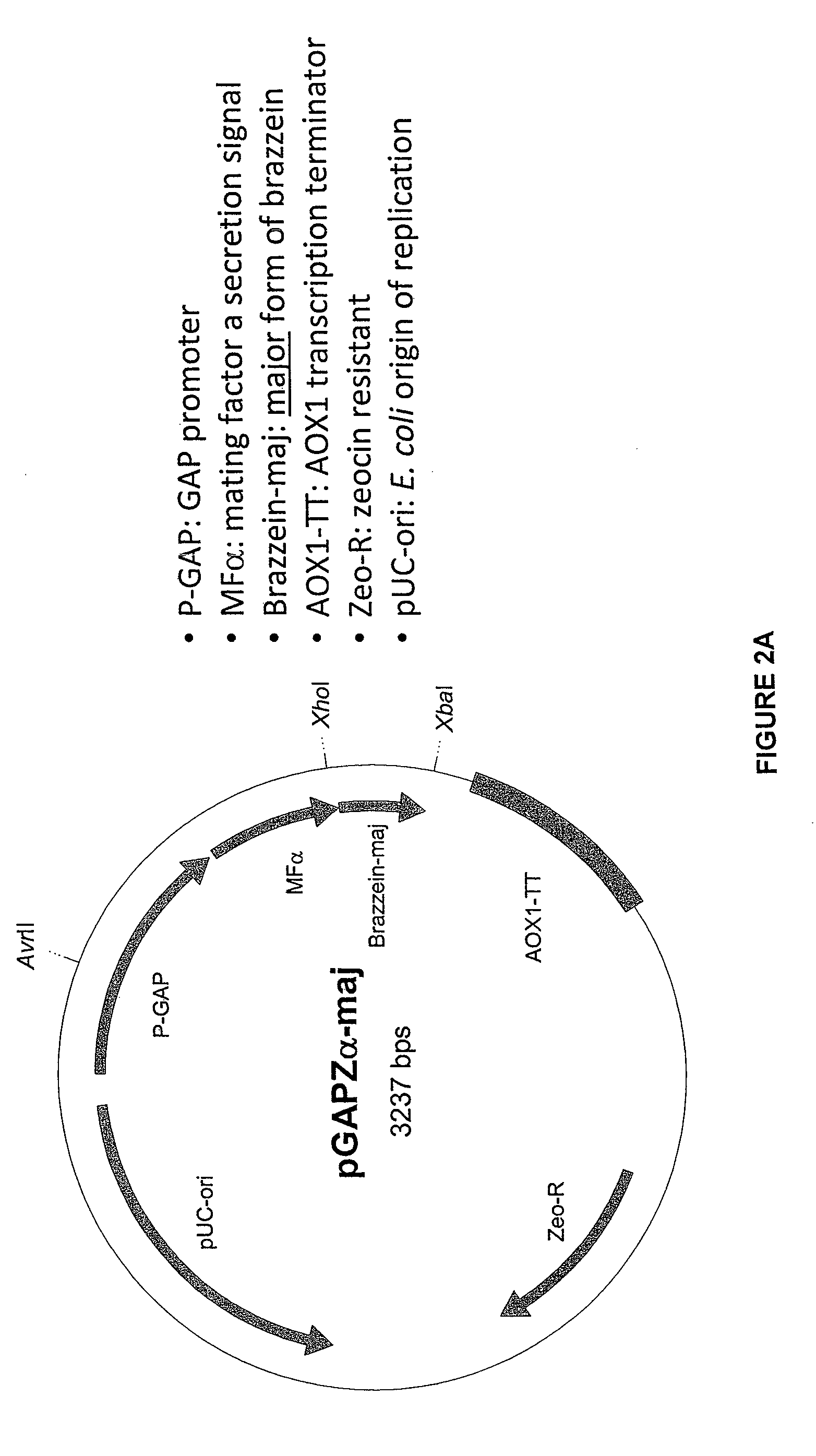 Sweetener preparations and methods of use