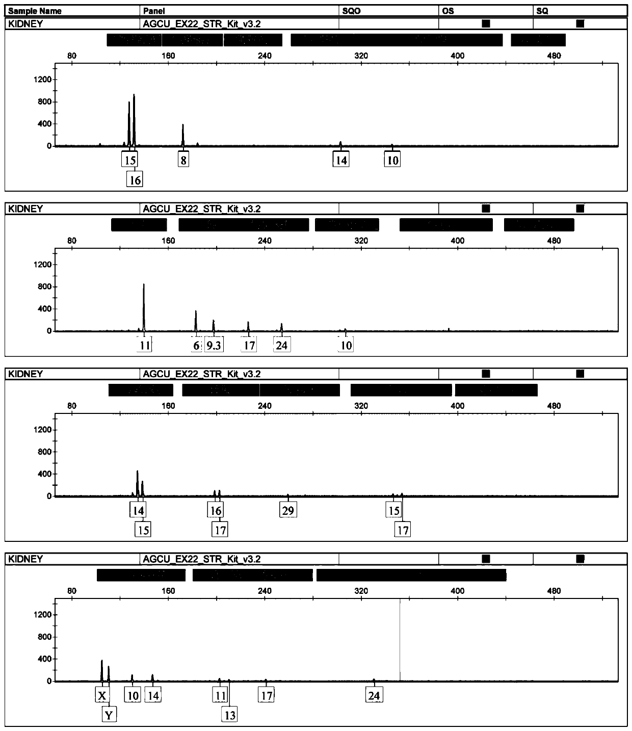 Fluorescent-labeled 32-plex InDels composite amplification system and application thereof