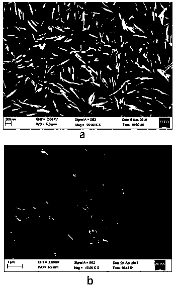 A preparation method of superhydrophobic fluorine conversion coating on the surface of magnesium alloy