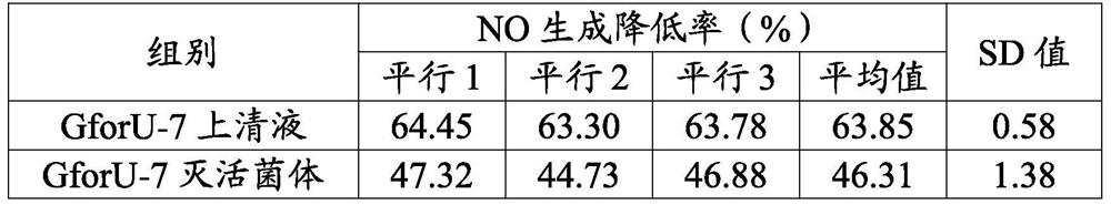 Lactobacillus paracasei and application of lactobacillus paracasei in preparation of product for regulating skin microecosystem