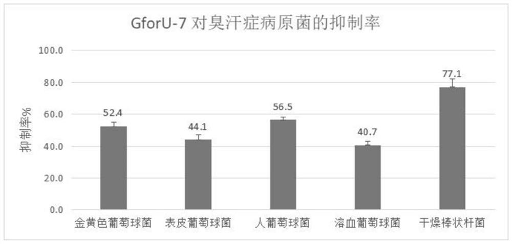 Lactobacillus paracasei and application of lactobacillus paracasei in preparation of product for regulating skin microecosystem