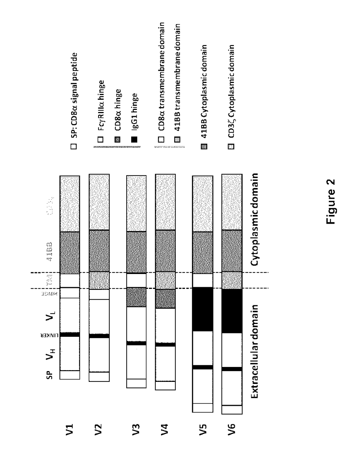 CD123 specific chimeric antigen receptors for cancer immunotherapy