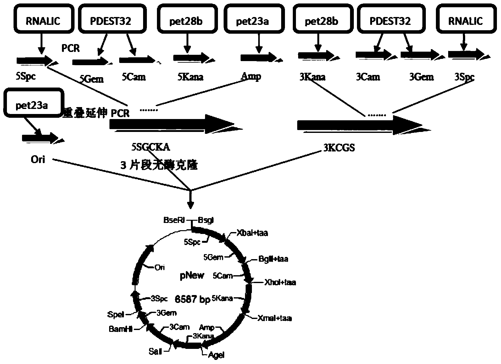 Primer-free gene synthesis method