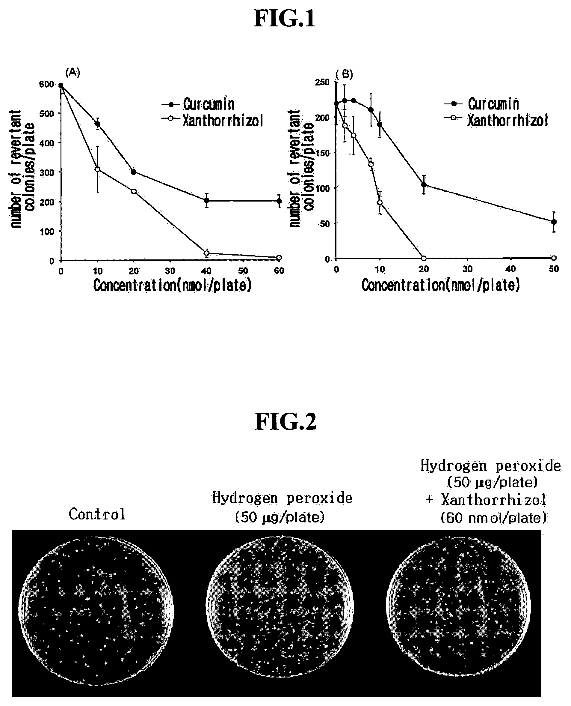 Pharmaceutical composition for preventing and treating cancer and treating an inflammation