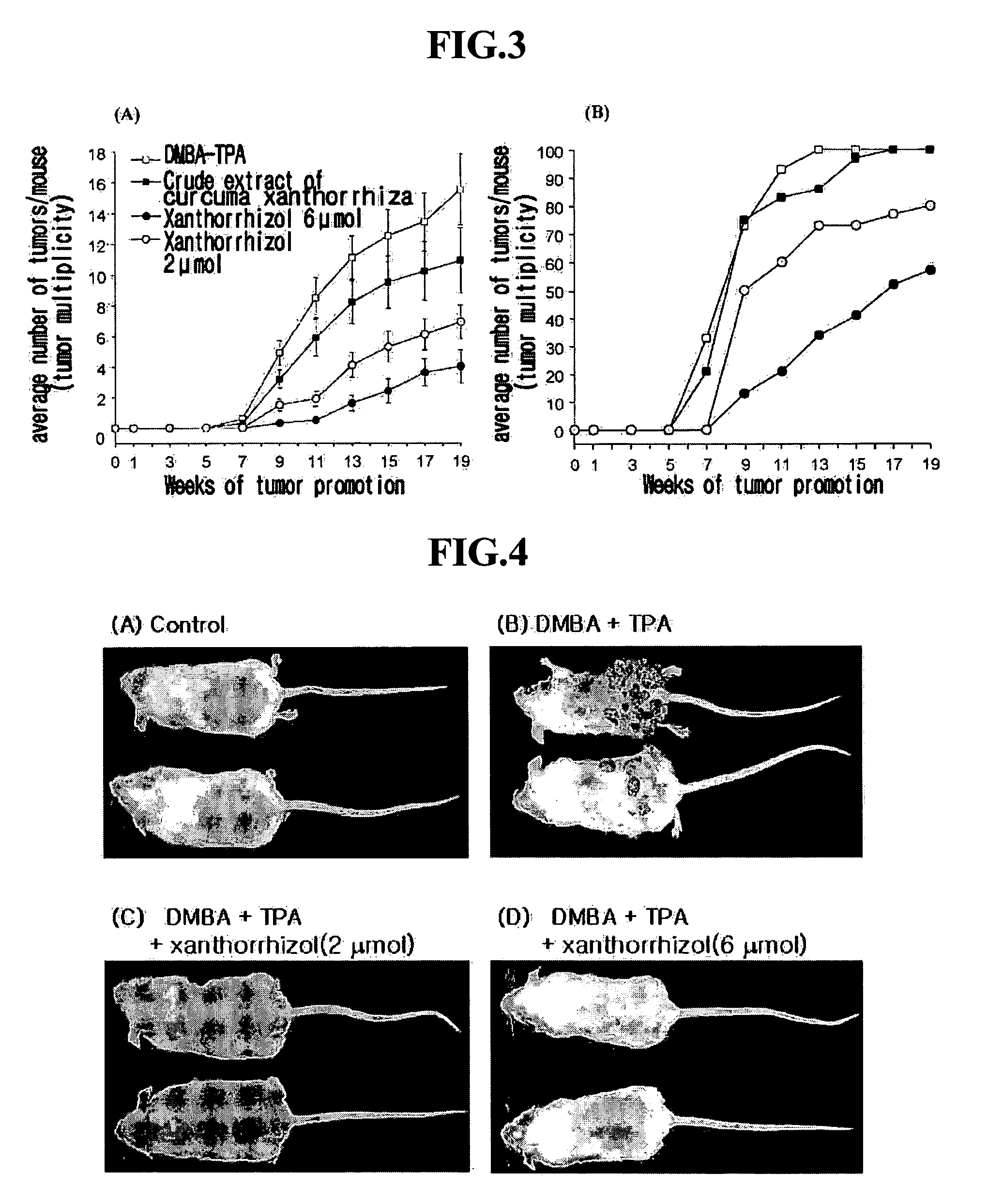 Pharmaceutical composition for preventing and treating cancer and treating an inflammation