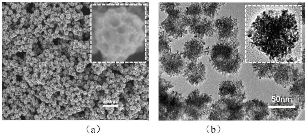 Porous rhodium nano-material as well as preparation method and anti-tumor application thereof