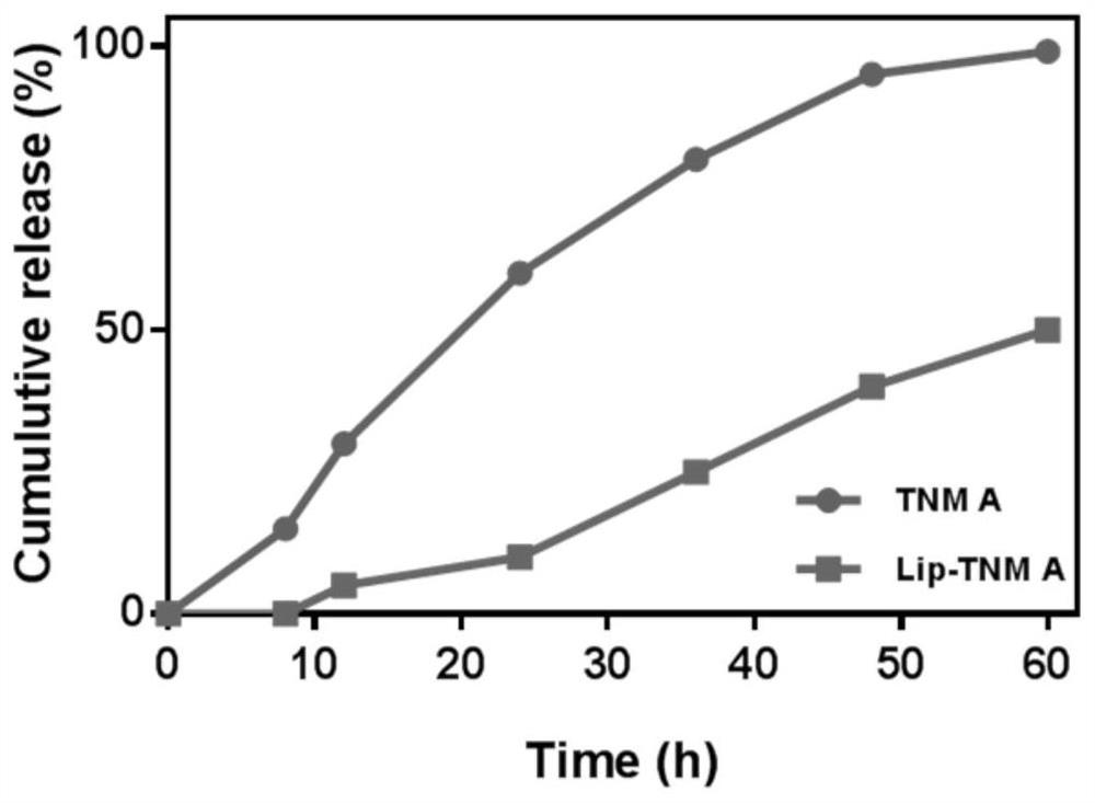 A kind of Tiancimycin liposome and its preparation method and application