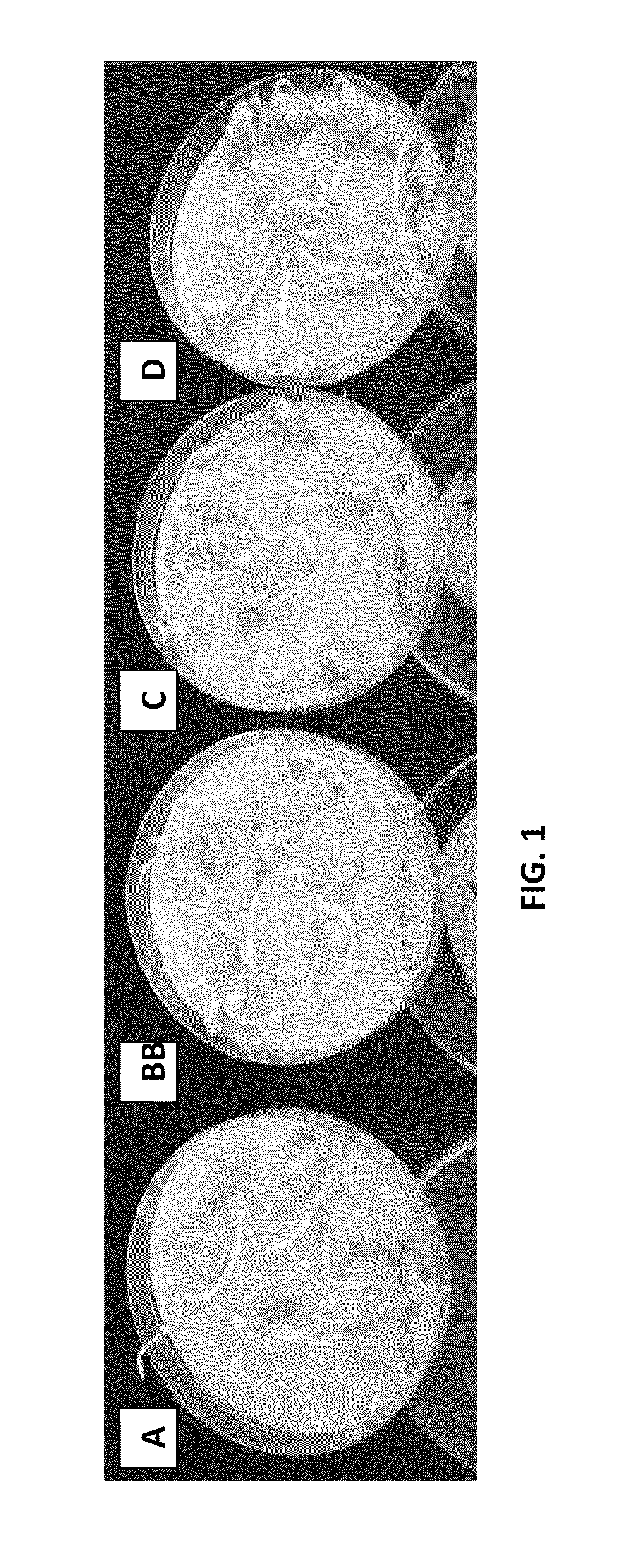 Bacillus licheniformis rti184 compositions and methods of use for benefiting plant growth