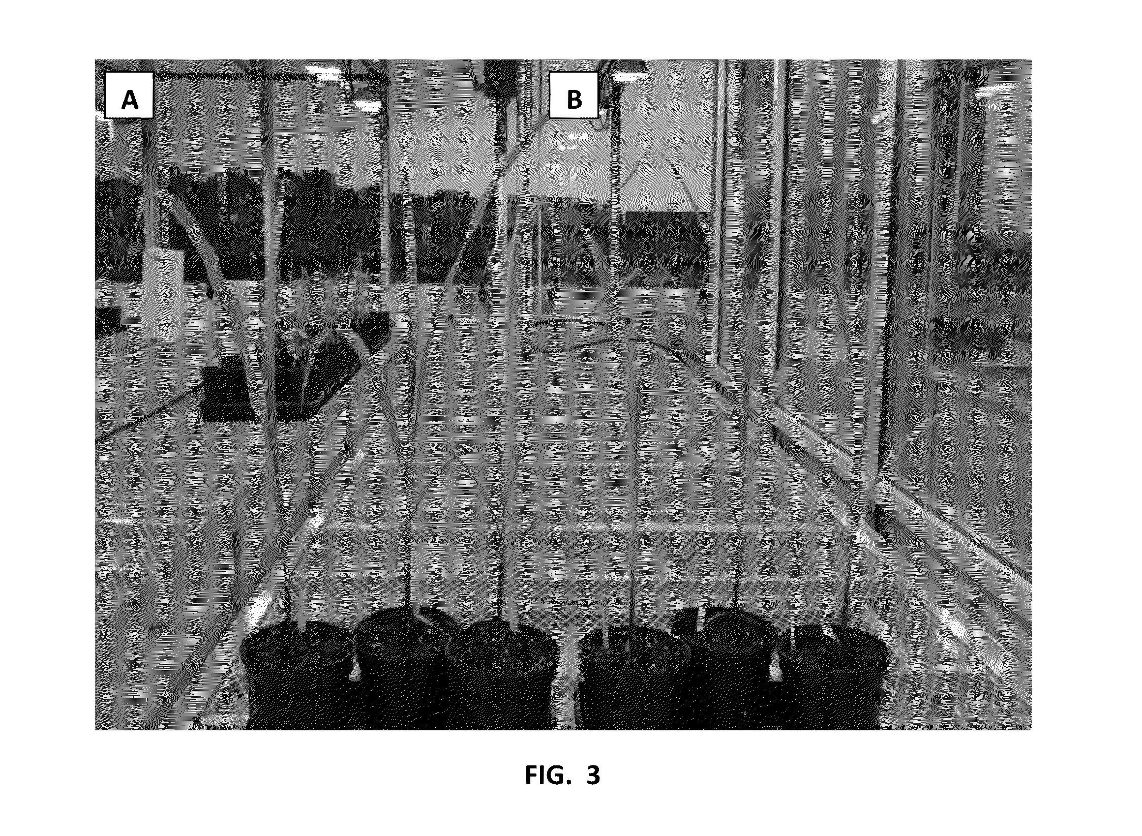 Bacillus licheniformis rti184 compositions and methods of use for benefiting plant growth