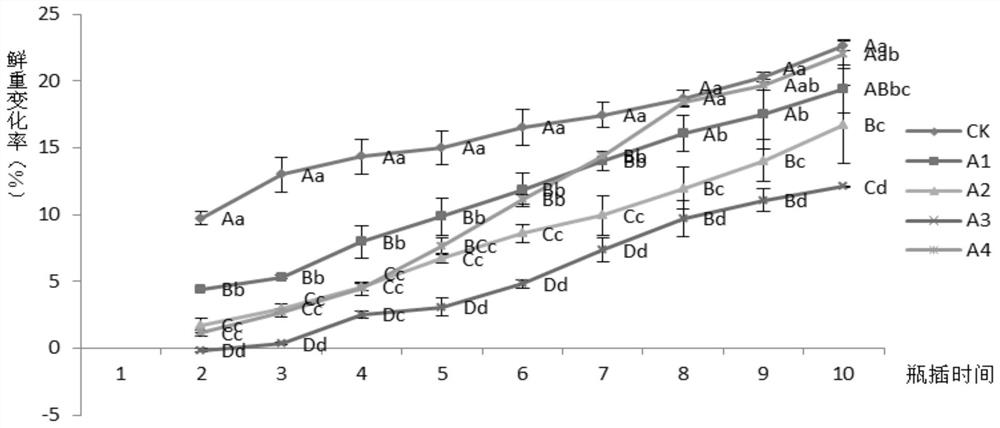 A kind of fresh-cut chrysanthemum comprehensive fresh-keeping liquid and its fresh-keeping method and application