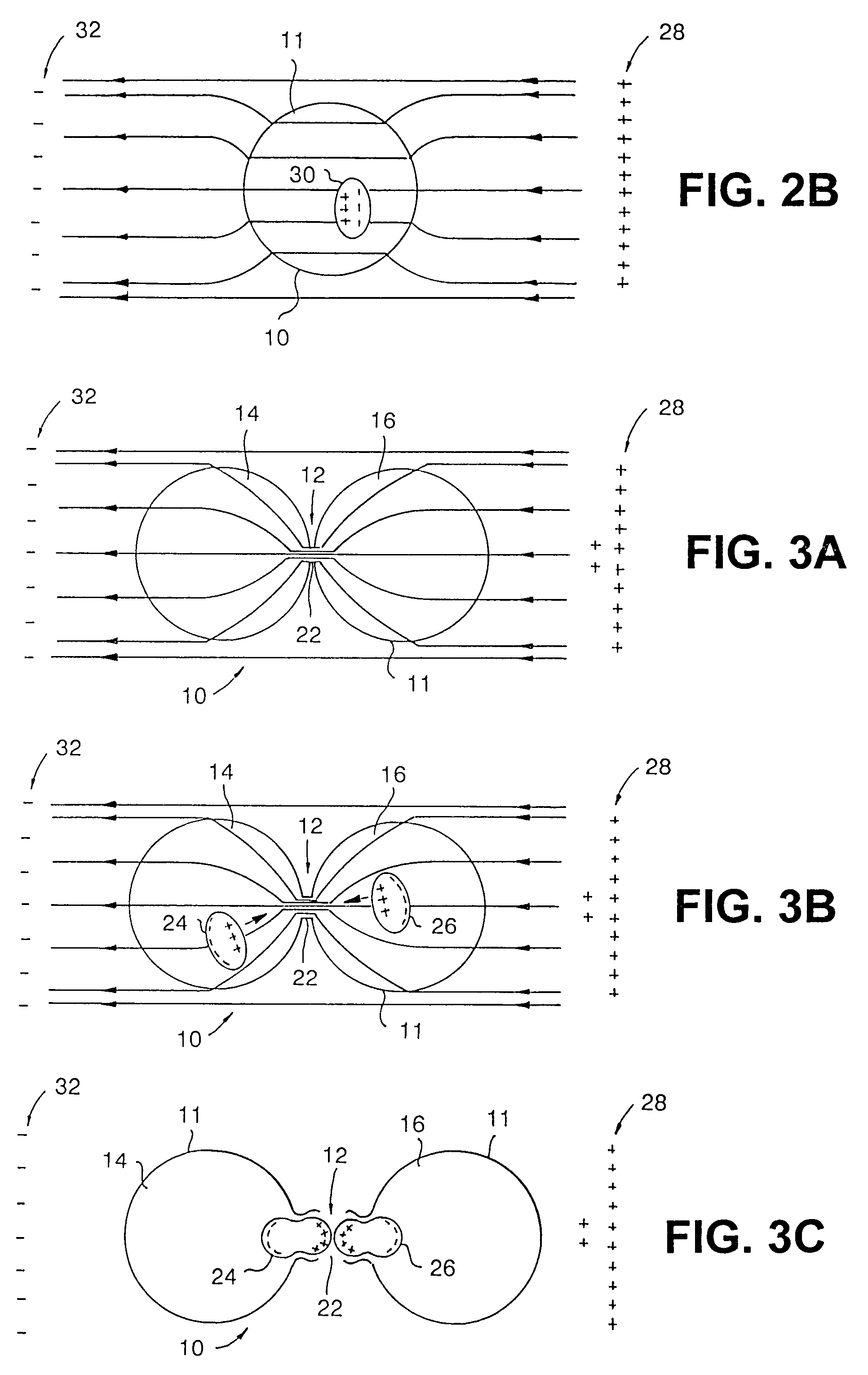 Apparatus and method for optimizing tumor treatment efficiency by electric fields