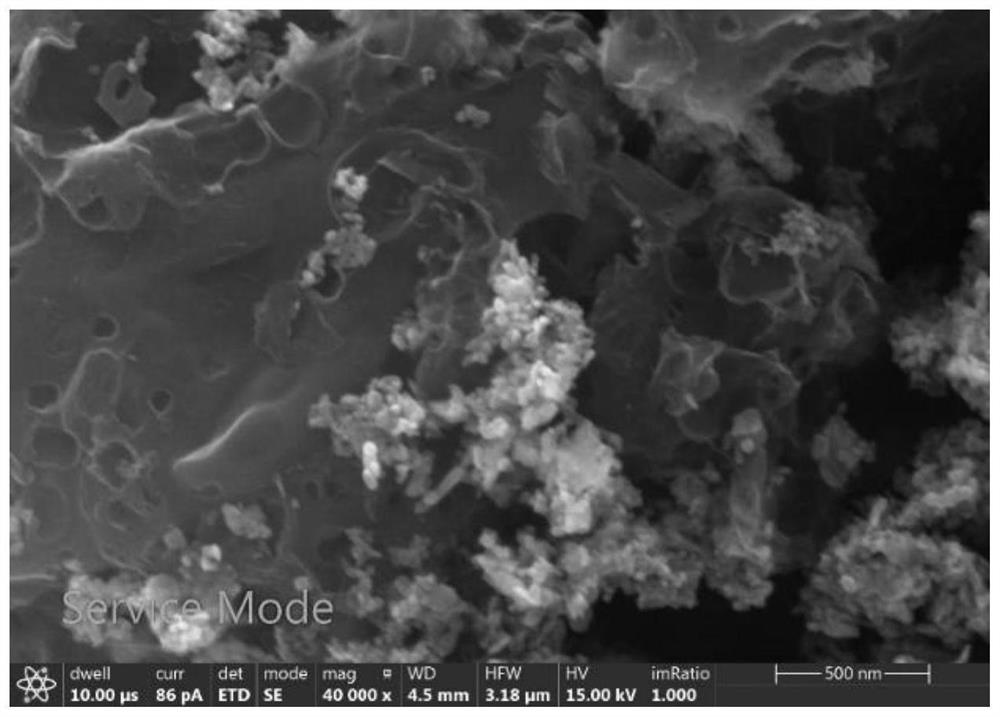 Preparation method for preparing functional activated carbon by carbonizing and activating enteromorpha and application of functional activated carbon