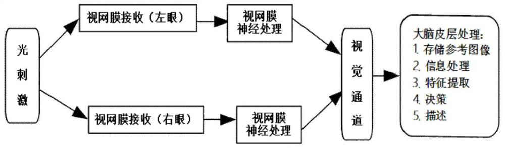 Image quality evaluation method based on visual saliency and deep neural network