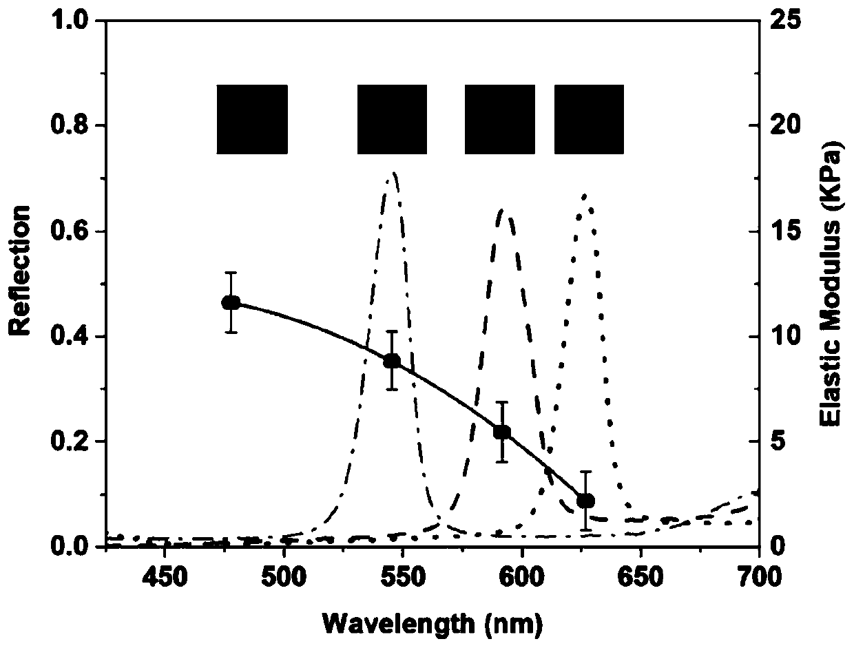 Photopolymerization gel for self-feedback of hardness distribution via color and preparation method and application thereof