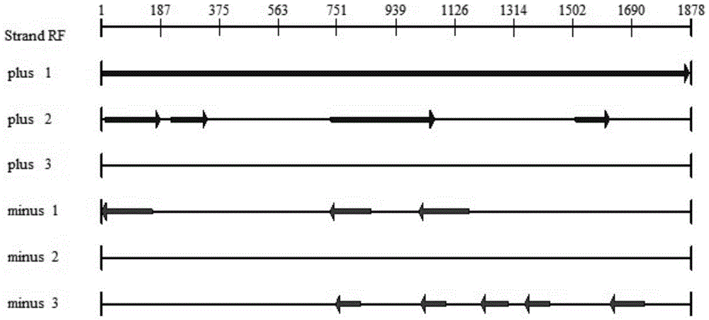 Treponema pallidum p15-17-47 fusion protein and recombination expression method thereof