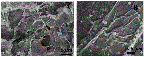 Method for preparing platinum nano particle supported nitrogen-doped three-dimensional graphene aerogel via one-step method