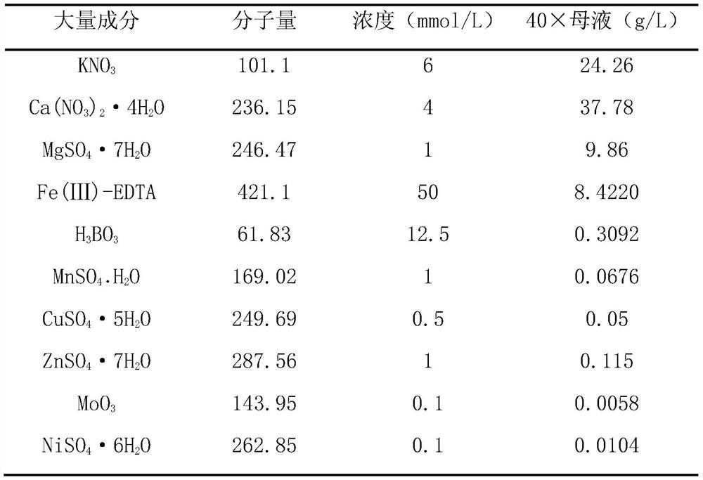 Aluminum-resistant related gene GsERF1 and encoding protein and application thereof