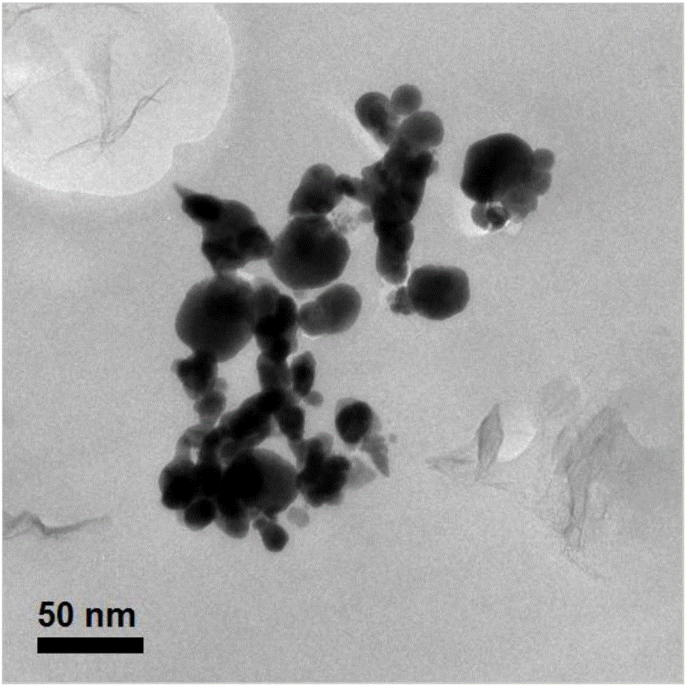 Measuring method for nano titanium dioxide migration quantity in food plastic package product