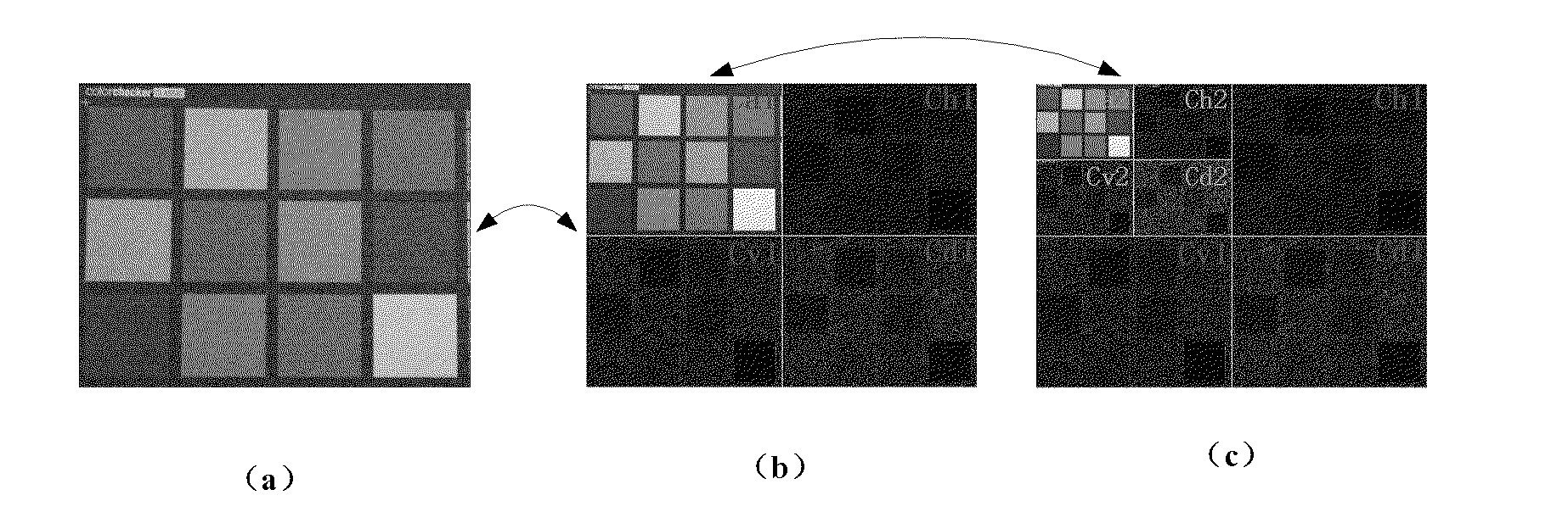 Gray image processing method and apparatus
