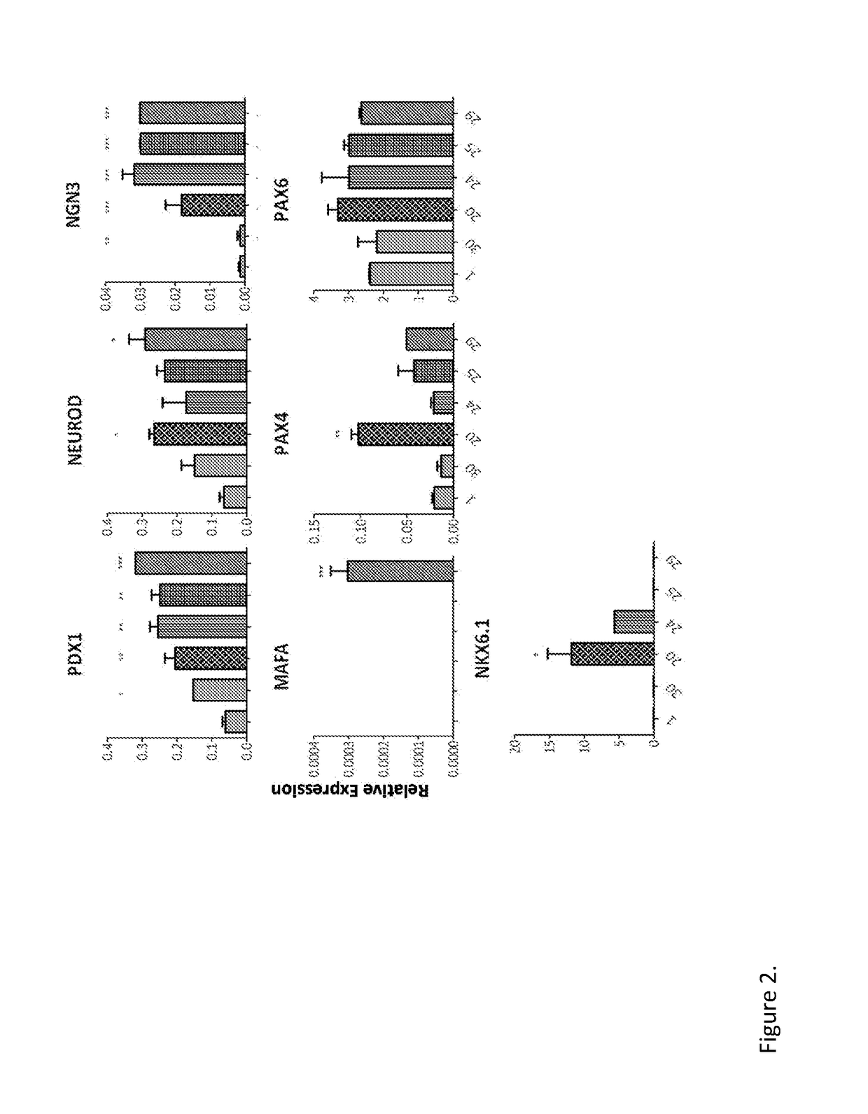 Methods of Obtaining Pancreatic Endocrine Cells