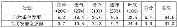 Dynamic black tea fermentation process