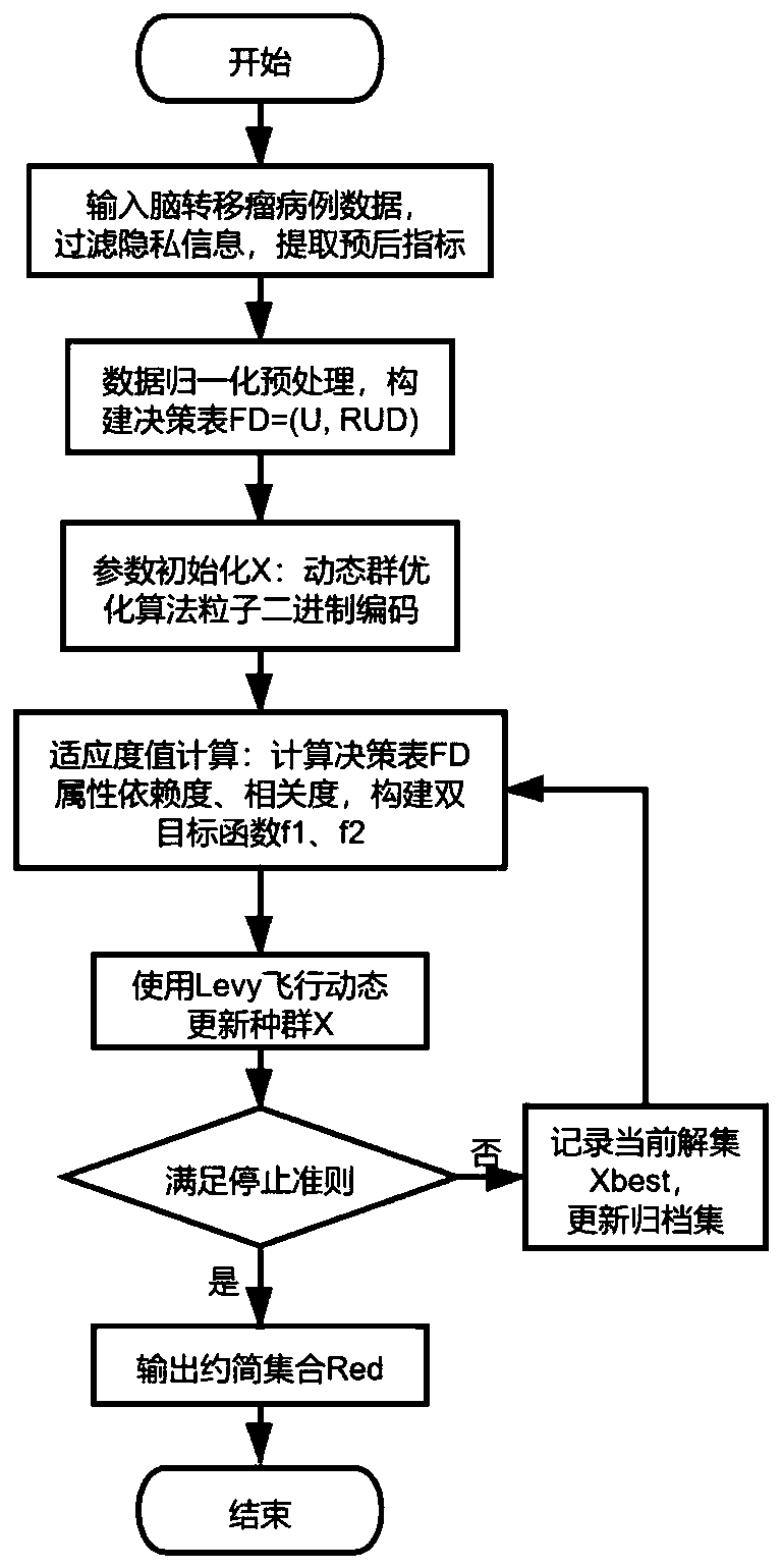 Brain metastasis tumor prognostic index reduction and classification method based on rough set optimization