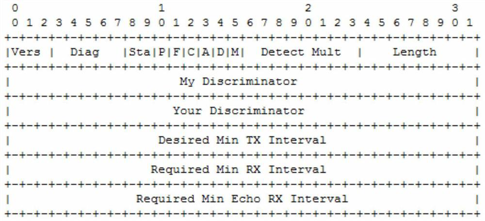 Chip implementation method and device for point-to-multipoint bidirectional forwarding detection