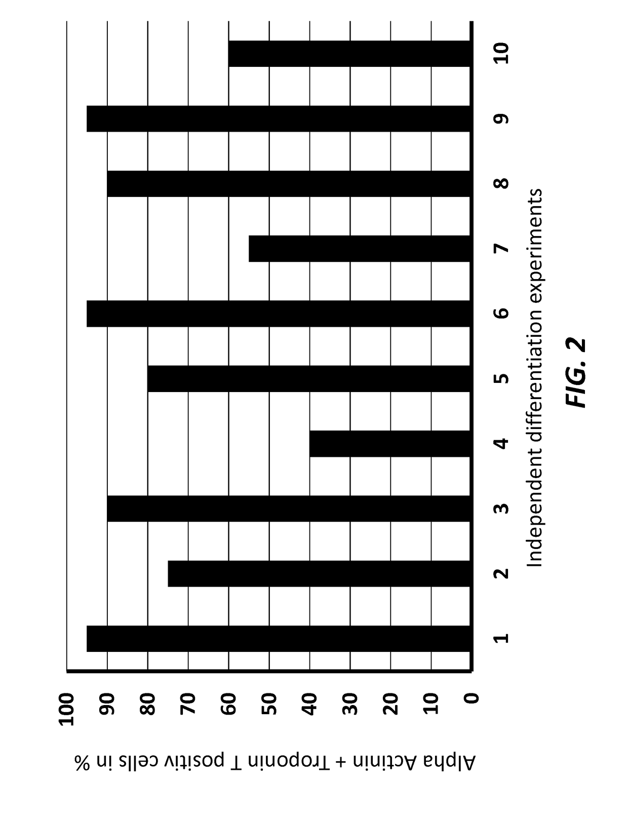 Method for differentiation of pluripotent stem cells into cardiomyocytes