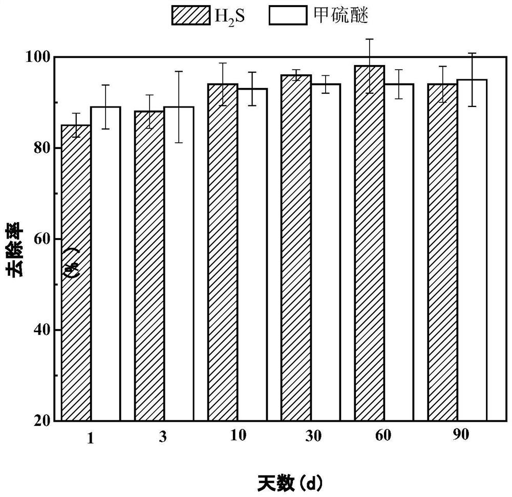 Multifunctional bioactive material as well as preparation method and application thereof