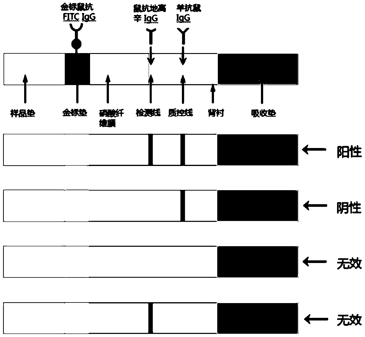 Detection reagent, kit as well as application of detection reagent and kit