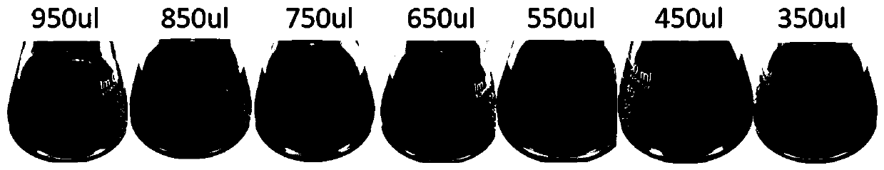 Detection reagent, kit as well as application of detection reagent and kit