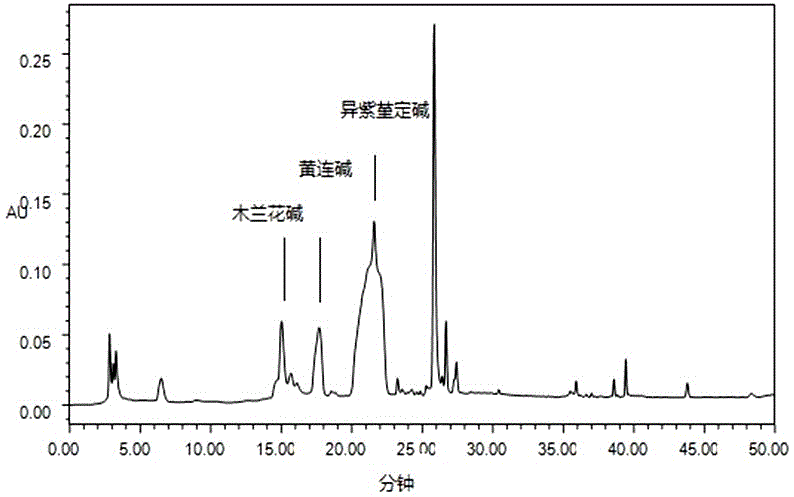 Dicranostigma leptopodum extract and extraction method and application thereof