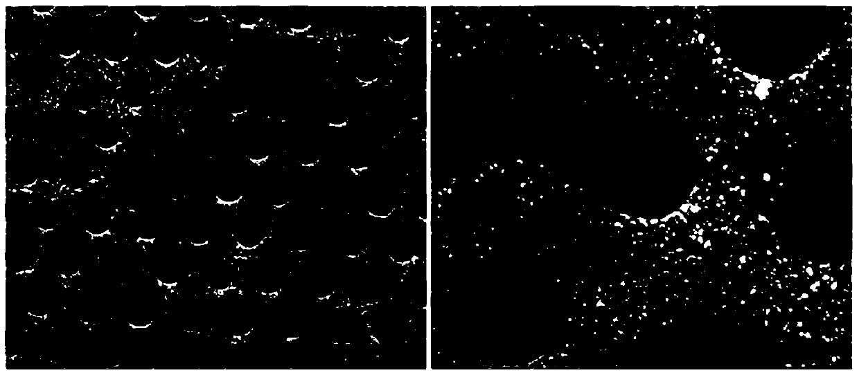 Two-dimensional spherical cavity electrode, its preparation method and its application in the detection of trace lead ions