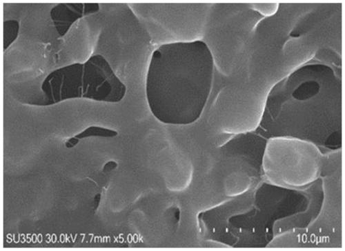 Polymer bionic coating and preparation method thereof