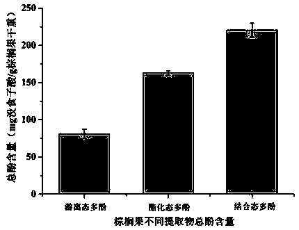 Use of palm fruit extract