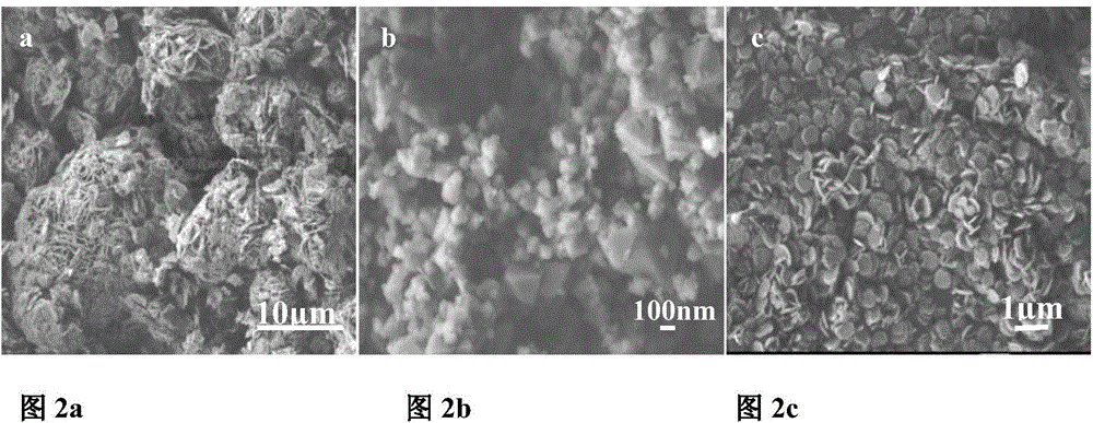 Method for preparing high dispersed magnesium hydroxide from agglomerated state magnesium hydroxide